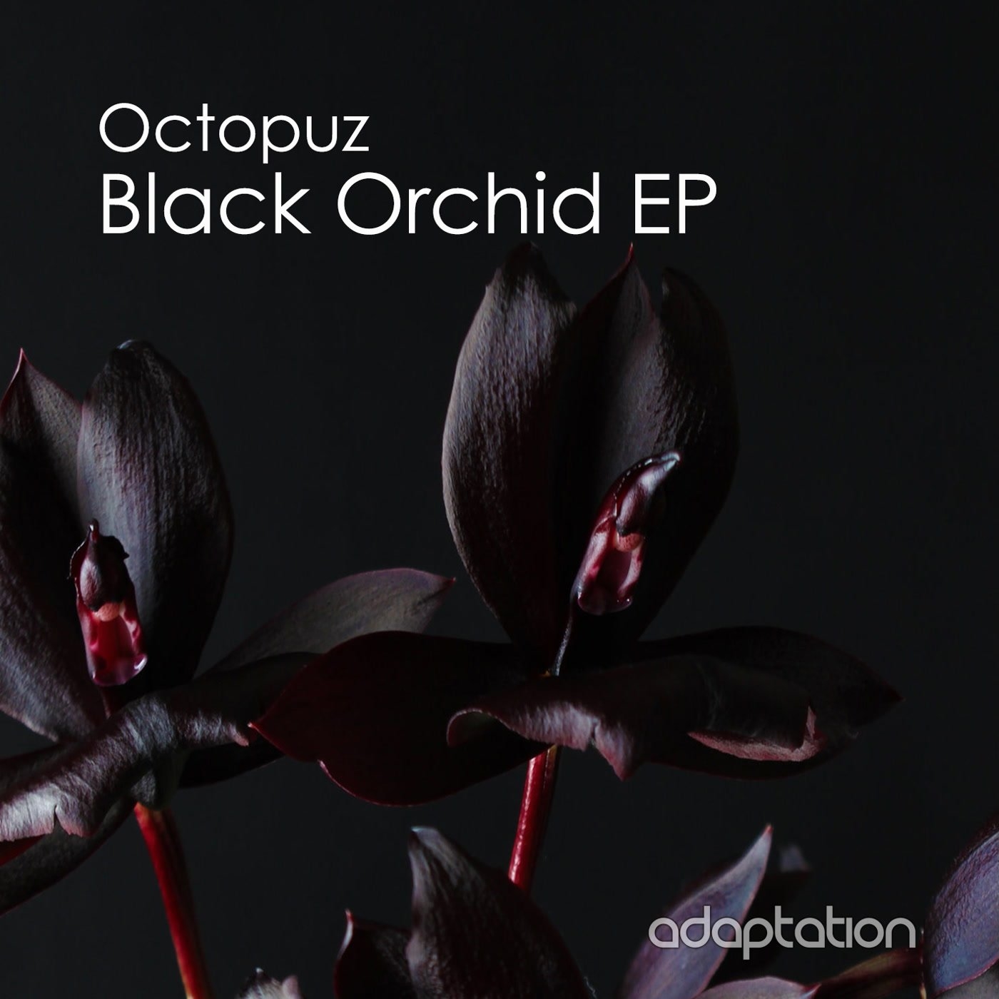 Octopuz - Black Orchid EP [AM114]